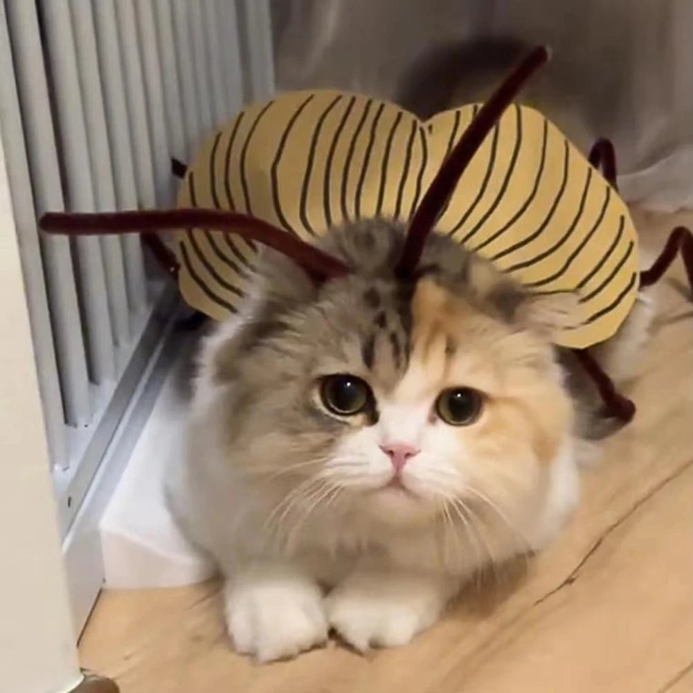 Pet Halloween Costume Cat Dog Cockroach Handmade DIY Cosplay Clothing Funny Pet wacky Costume Party