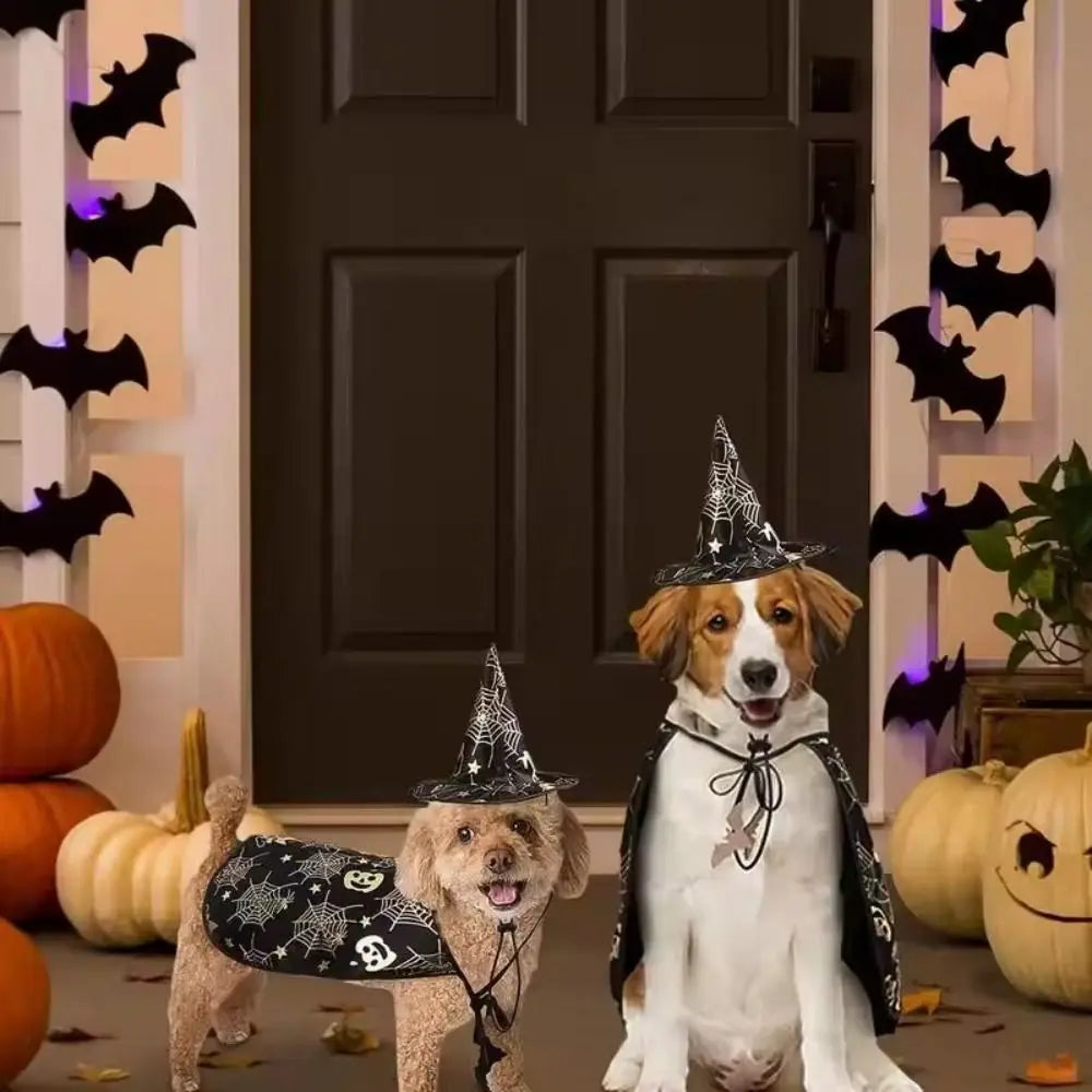 Cool Pumpkin Pet Halloween Costumes Cape Adjustable Bat Cats Cosplay Clothes Soft Black Halloween Dog Cloak Hat Cats