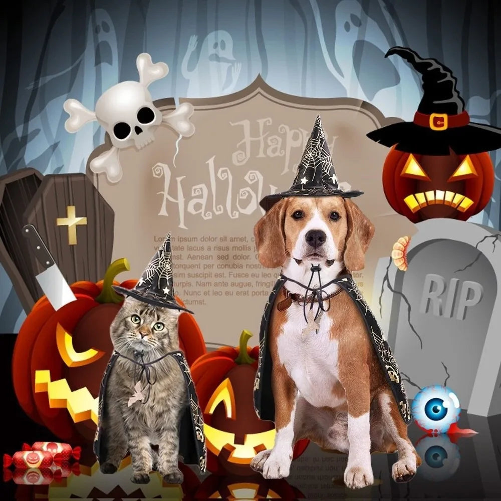 Cool Pumpkin Pet Halloween Costumes Cape Adjustable Bat Cats Cosplay Clothes Soft Black Halloween Dog Cloak Hat Cats
