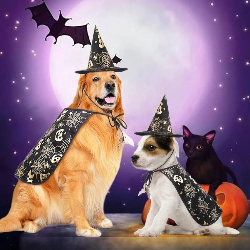 Cool Pumpkin Pet Halloween Costumes Cape Adjustable Bat Cats Cosplay Clothes Soft Black Halloween Dog Cloak Hat Cats