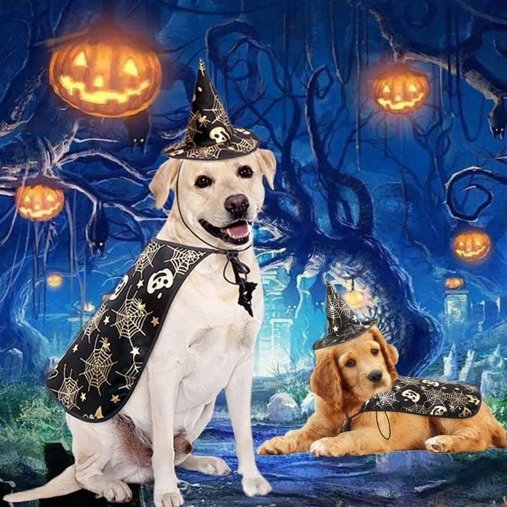 Cool Pumpkin Pet Halloween Costumes Cape Adjustable Bat Cats Cosplay Clothes Soft Black Halloween Dog Cloak Hat Cats