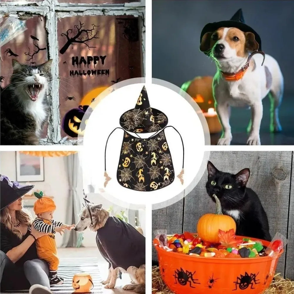 Cool Pumpkin Pet Halloween Costumes Cape Adjustable Bat Cats Cosplay Clothes Soft Black Halloween Dog Cloak Hat Cats