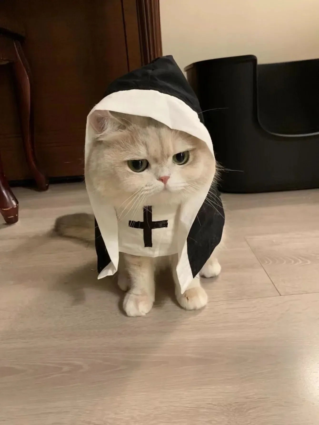 Ins Halloween Cat Costume Pet Clothing Breathable Nun Cloak Cosplay Dress Photo Props Kawaii Kitten Puppy Cute Accessoties Gift