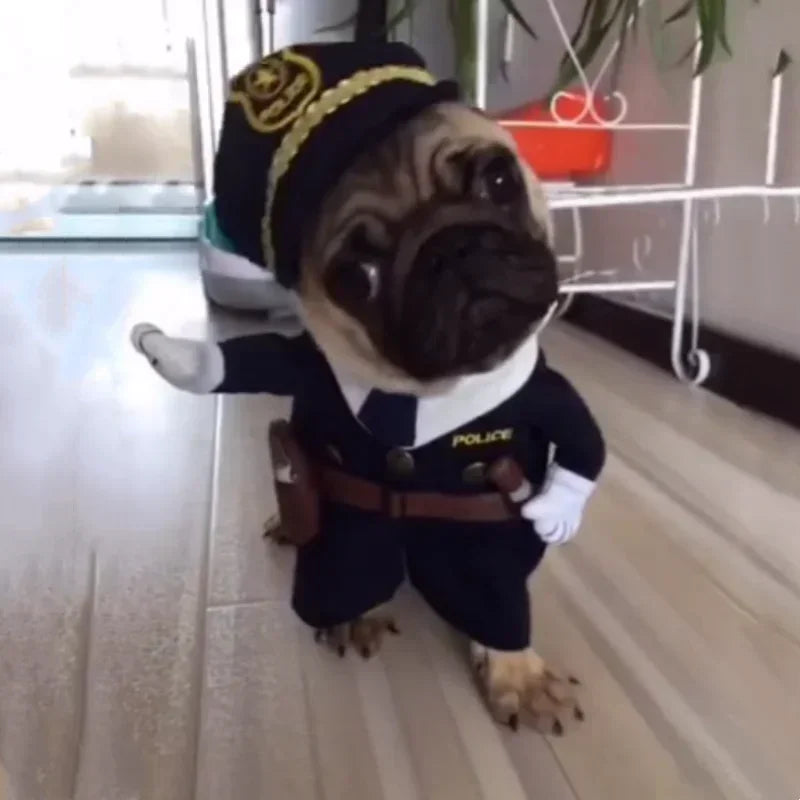 Funny Pet Dog Cat Halloween Costume Pet Clothes Gift Dog Cowboy Clothes Pet Dog Costumes for Small Dogs Cosplay Cat Accessories