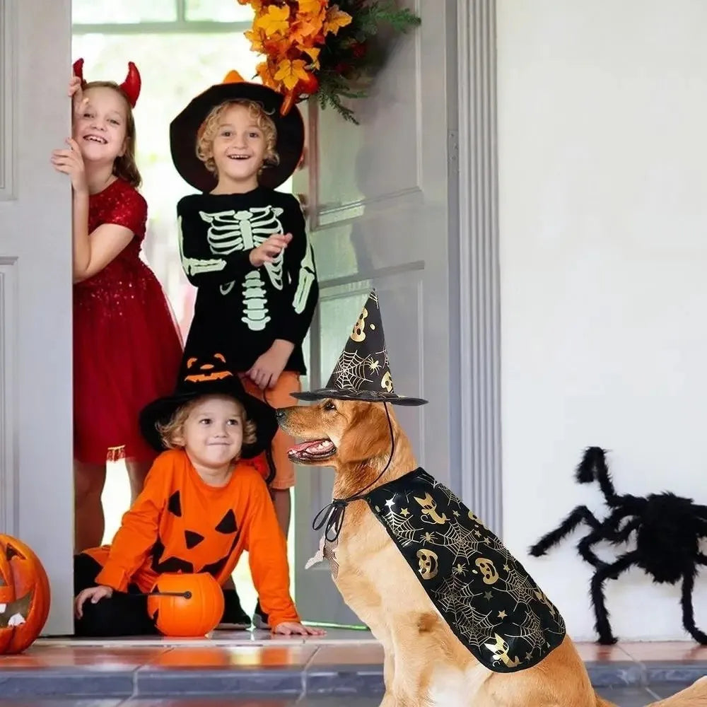 Cool Pumpkin Pet Halloween Costumes Cape Adjustable Bat Cats Cosplay Clothes Soft Black Halloween Dog Cloak Hat Cats