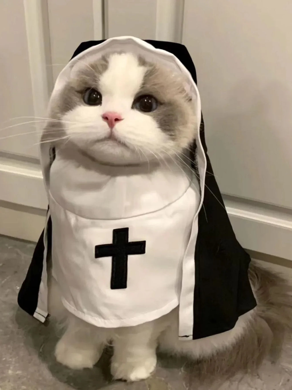 Ins Halloween Cat Costume Pet Clothing Breathable Nun Cloak Cosplay Dress Photo Props Kawaii Kitten Puppy Cute Accessoties Gift