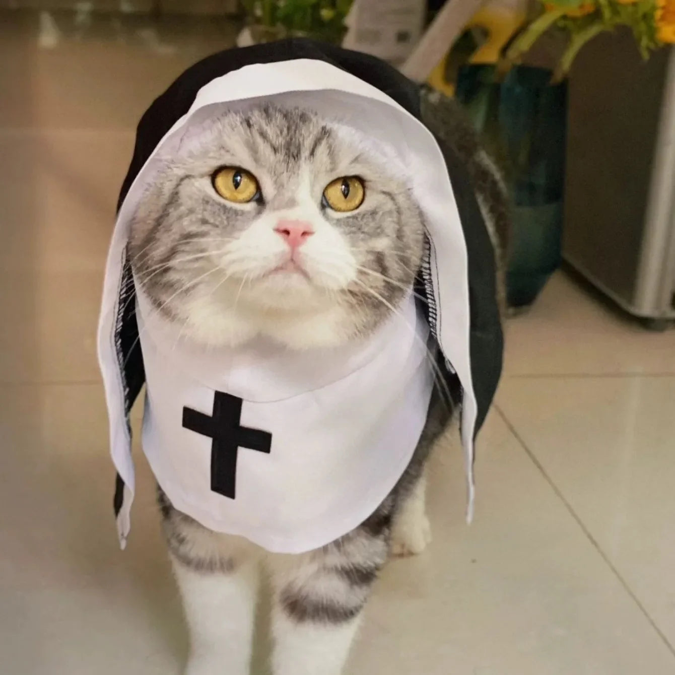 Ins Halloween Cat Costume Pet Clothing Breathable Nun Cloak Cosplay Dress Photo Props Kawaii Kitten Puppy Cute Accessoties Gift