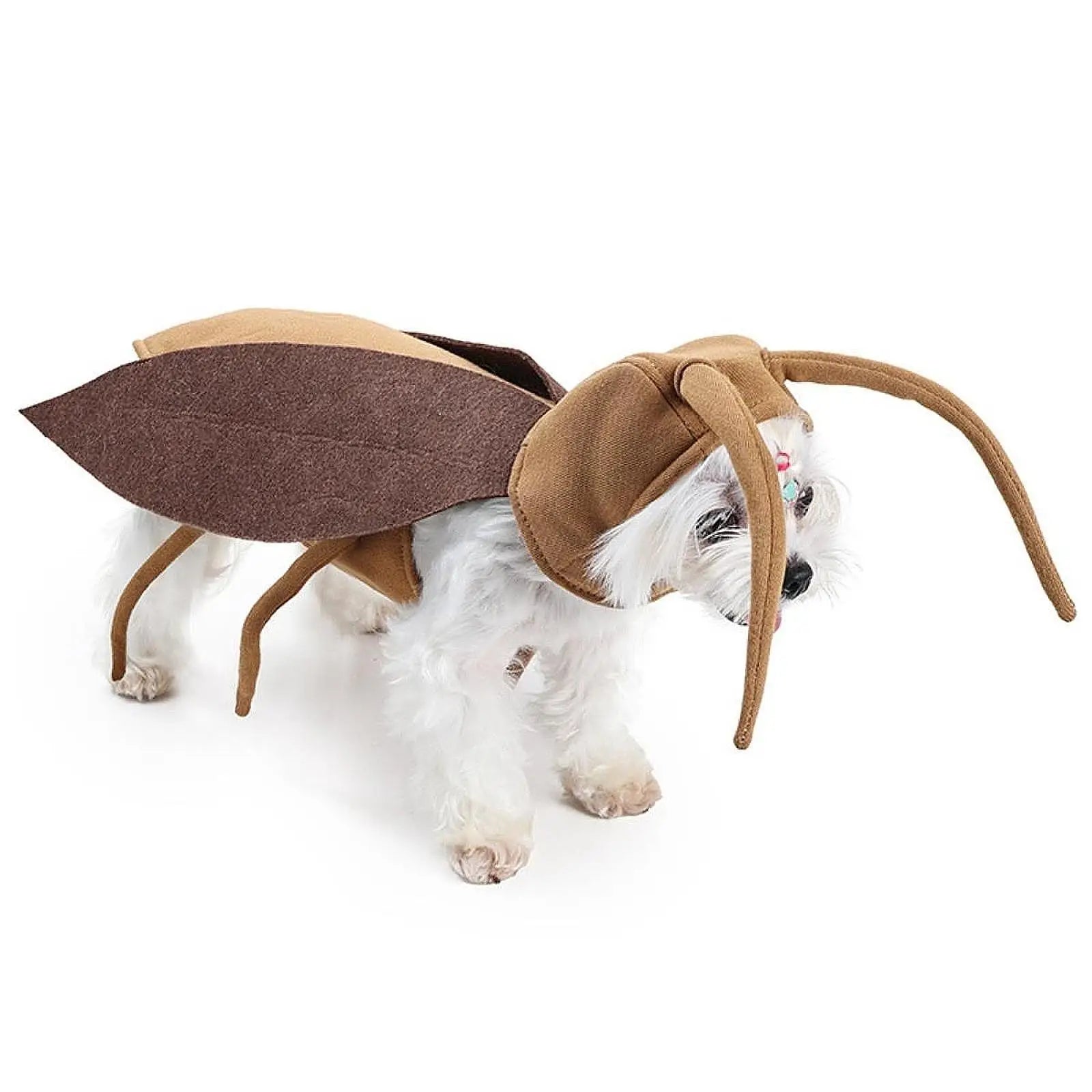 Dog Halloween Costume for Dogs Cats Cat Cockroach Clothing for Party Kitten