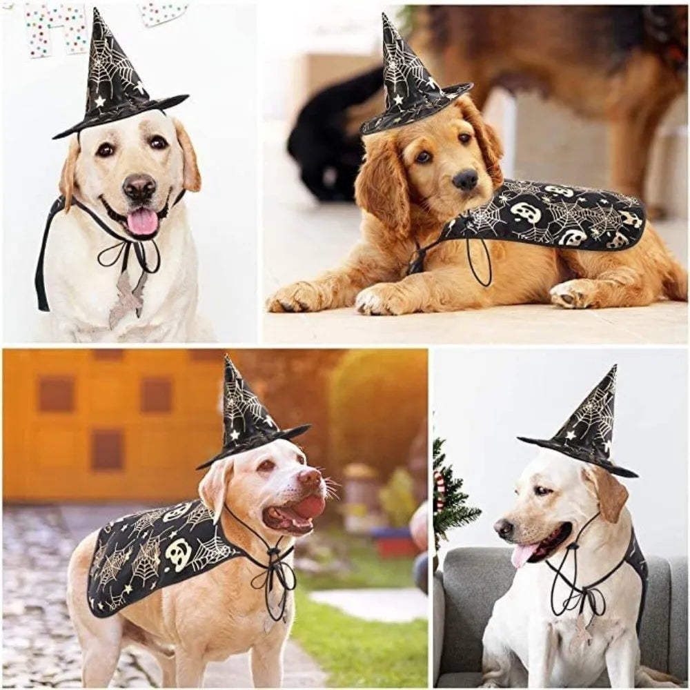 Cool Pumpkin Pet Halloween Costumes Cape Adjustable Bat Cats Cosplay Clothes Soft Black Halloween Dog Cloak Hat Cats