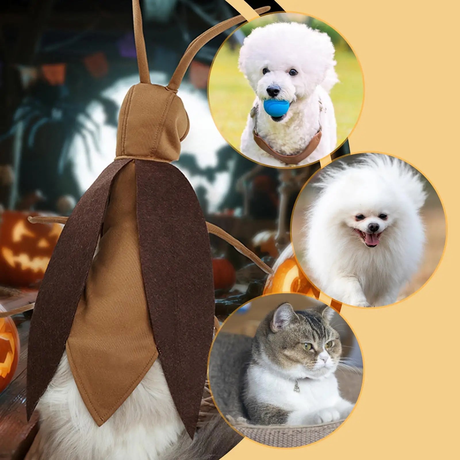 Dog Halloween Costume for Dogs Cats Cat Cockroach Clothing for Party Kitten