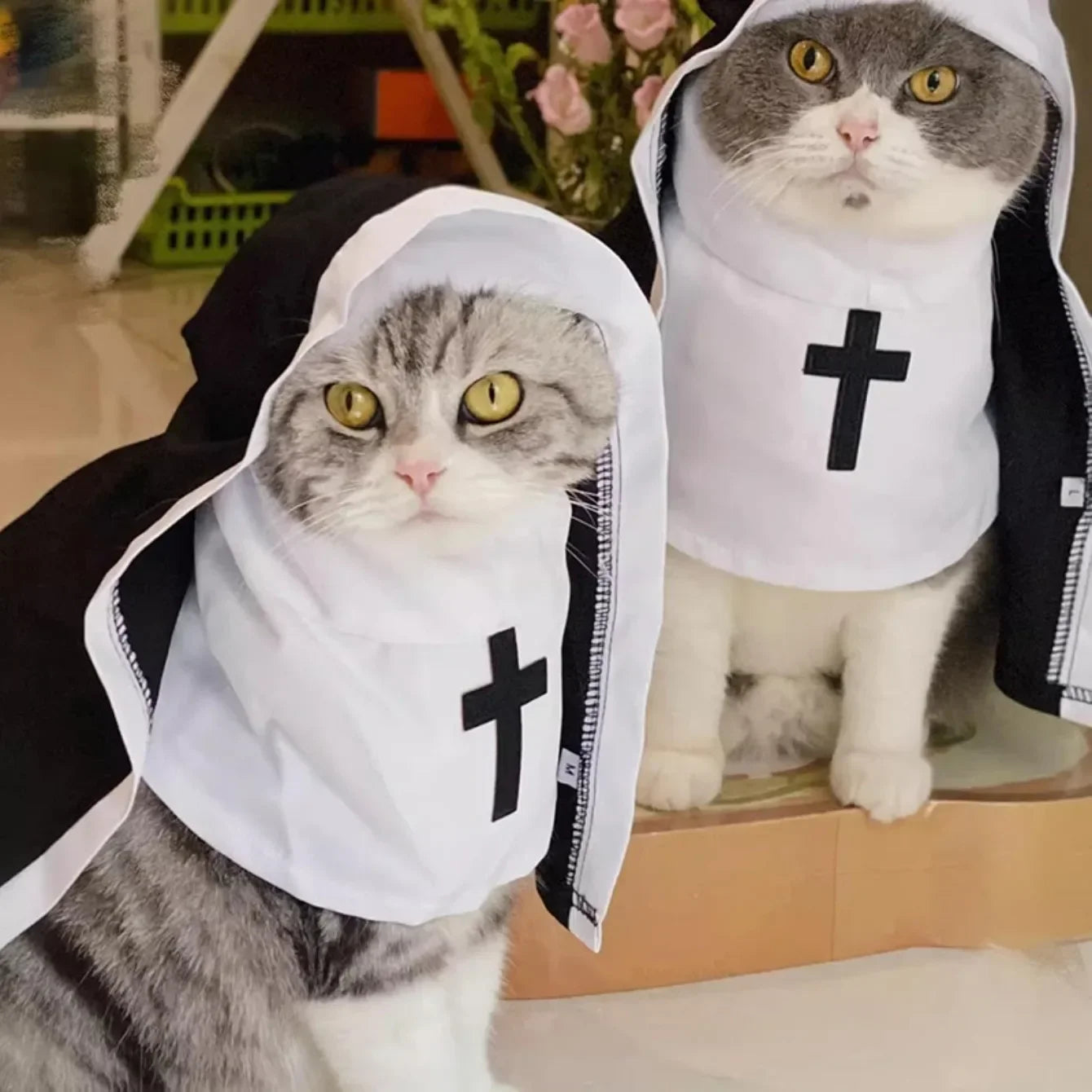 Ins Halloween Cat Costume Pet Clothing Breathable Nun Cloak Cosplay Dress Photo Props Kawaii Kitten Puppy Cute Accessoties Gift