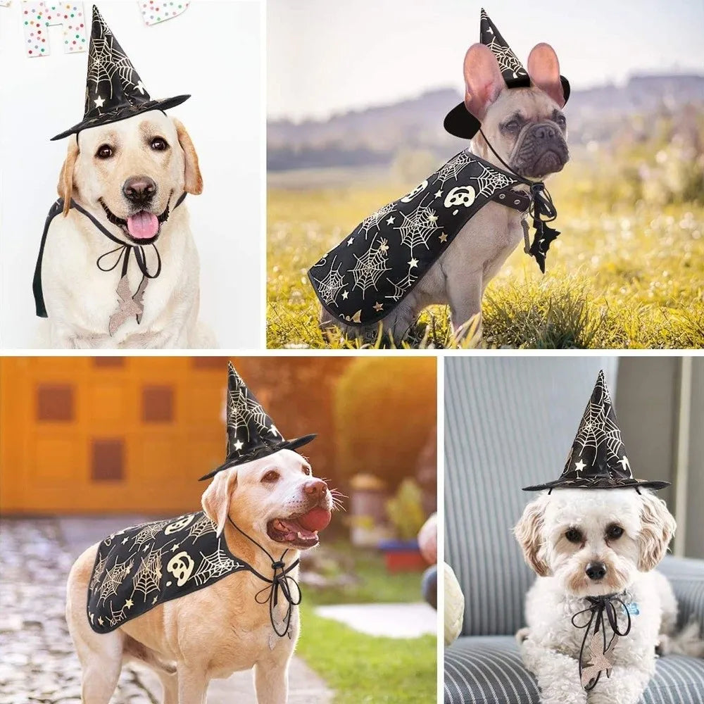 Funny Pumpkin Pet Halloween Costumes Cape Bat Adjustable Halloween Dog Cloak Hat Black Soft Halloween Pet Apparel Party