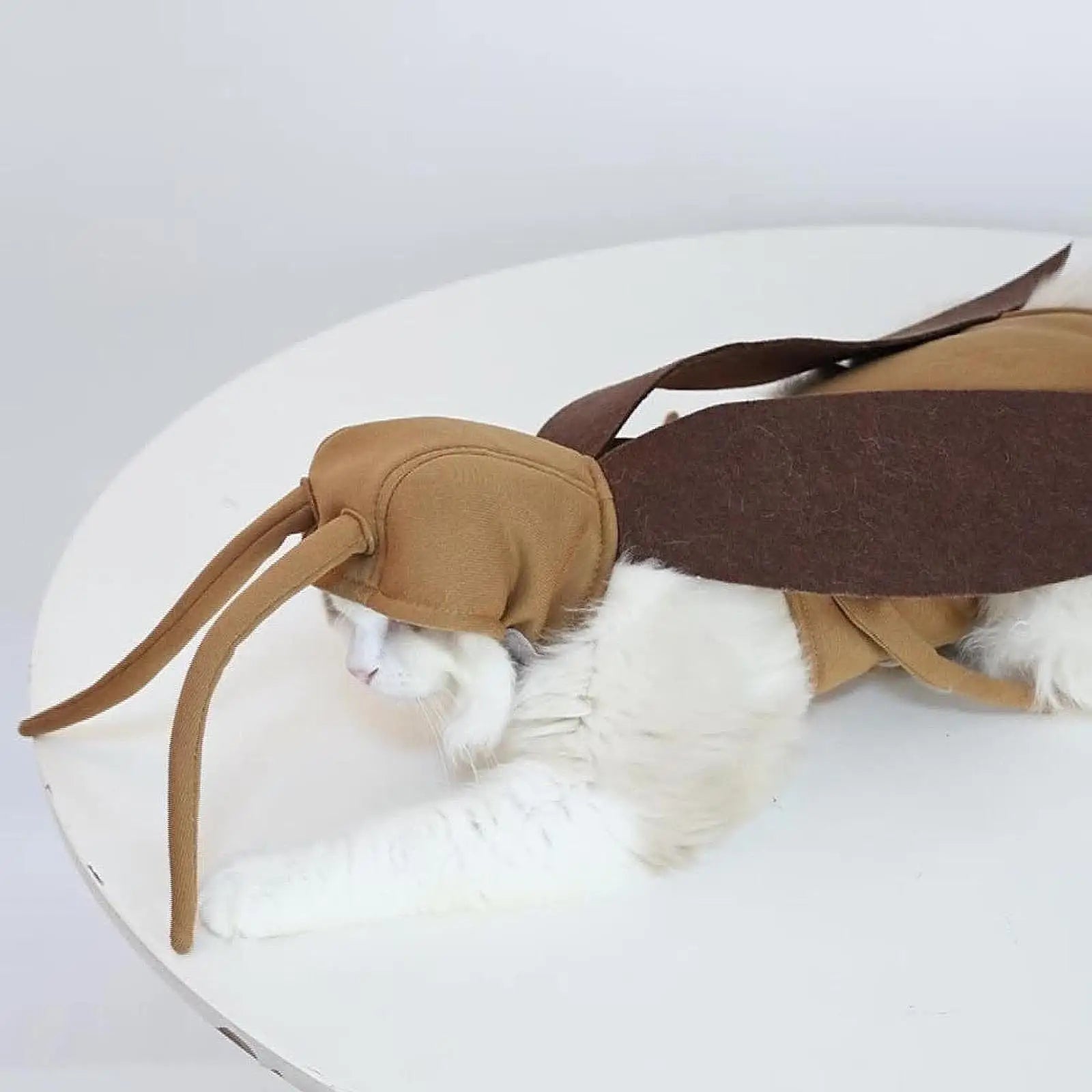 Dog Halloween Costume for Dogs Cats Cat Cockroach Clothing for Party Kitten
