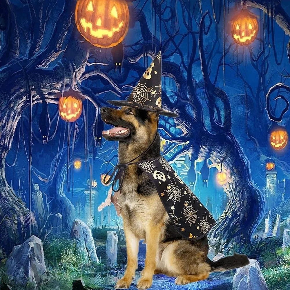 Funny Pumpkin Pet Halloween Costumes Cape Bat Adjustable Halloween Dog Cloak Hat Black Soft Halloween Pet Apparel Party